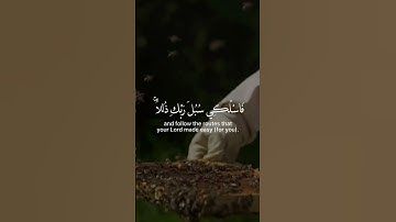 تلاوة خاشعة بصوت القارئ خالد الجليل (وأوحى ربك إلى النحل....)[حالات واتس اب] بدون حقوق نشر جودHD