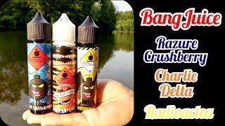 Quick Tasting ♦ BangJuice ♦ Die 3 Neuen ♦ DampfKraft