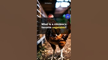 How many did you get right 🧠 #trivia #quiz #challenge #knowledge #game #fun #familyfeud #jeopardy