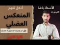 2 ثانية ثانوي الدرس 1 الجزء 2 الدعامة الخلوية للمنعكس العضلي