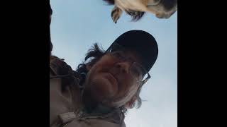 First touch! I dont pet until they demand it. took 2 years. the wait is worth it.. #spanishmustang