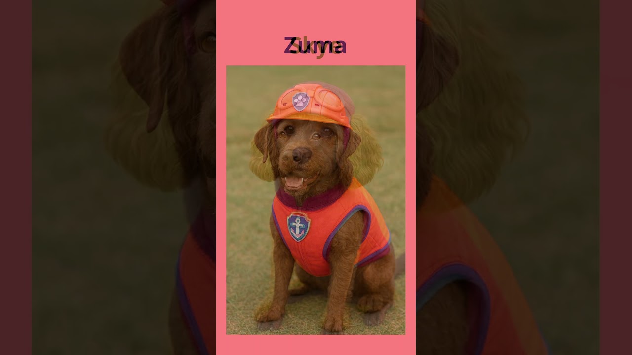 Um mais fofo que o outro! Qual o seu favorito? 