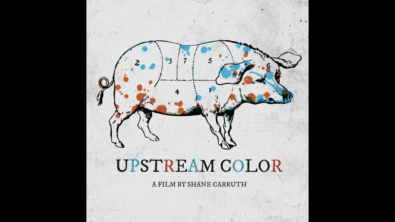 Episode 754: Upstream Color (2013)