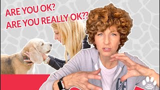 How To Stop Worrying About Losing Your Pet