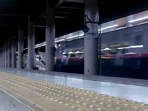 E2系1000番台+E3系2000番台やまびこ・つばさ124号 上野通過