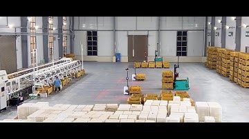 Multiway Cases Collection