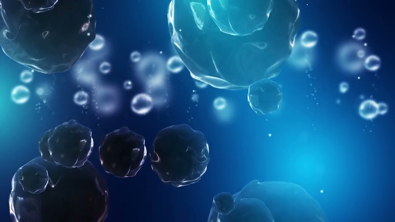 Free Download Funny Clips For Editing - HD, 4K, Free Download, Stock Footage