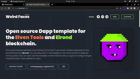 Simple way to init the MultiversX NFT Minting Dapp
