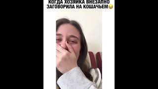 Заговорила на кошачьем