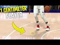 I Made A 1 Centimeter Player In NBA 2K20!