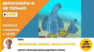 Занятие &quot;Эдиакарий: блины, перья и лучок!&quot; кружка &quot;Динозавры и не только&quot; с Ярославом Поповым