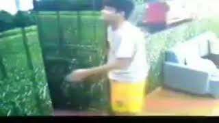 Mayward Videos Compilation Endless Love