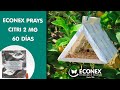 Econex prays citri 2 mg 60 dias  tratamiento para el prays del limonero