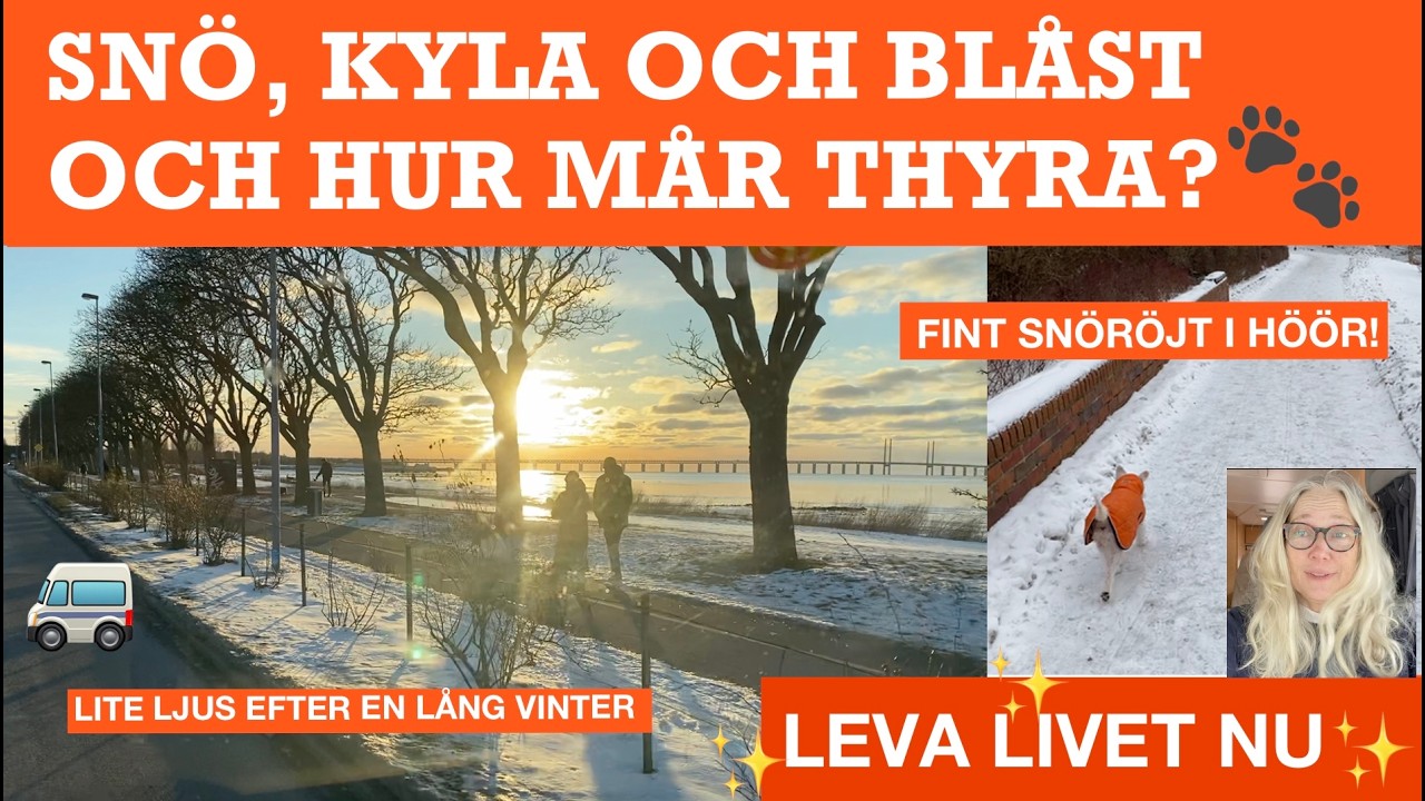 339. Vinter och snö. Hur mår Thyra?