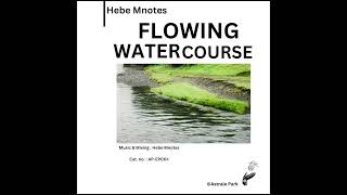 Hebe Mnotes - outhere.