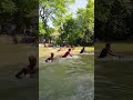 Wow! Amazing Polo Fishing Videos ! Best Big Fish Catching ! Primitive Technique fishing #fish