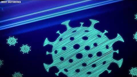 Does UV light kill the new coronavirus?