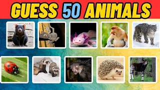 Guess 50 Animals In 3 Seconds  Easy, Medium, Hard, Impossible