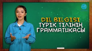 «ТҮРКІ ТІЛДЕРІ» | Түрік тілінің грамматикасы | Dil bilgisi