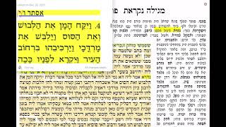 דף יומי מסכת מגילה דף טז Daf yomi Megillah daf 16 להצלחת אלקנה נבון