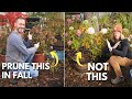 The Right Hydrangeas to Prune This Fall 🍂 (& How to Do It!)😉 #hydrangeas #pruning #fall