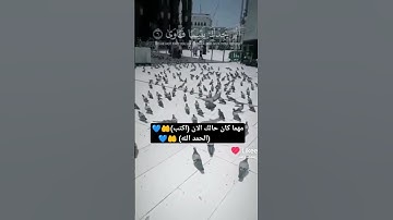 تلاوه خاشعه تريح القلب لاتهربو هذا قراءن كريم يريح القلب أرح سمعك 🤲💙🤲💙