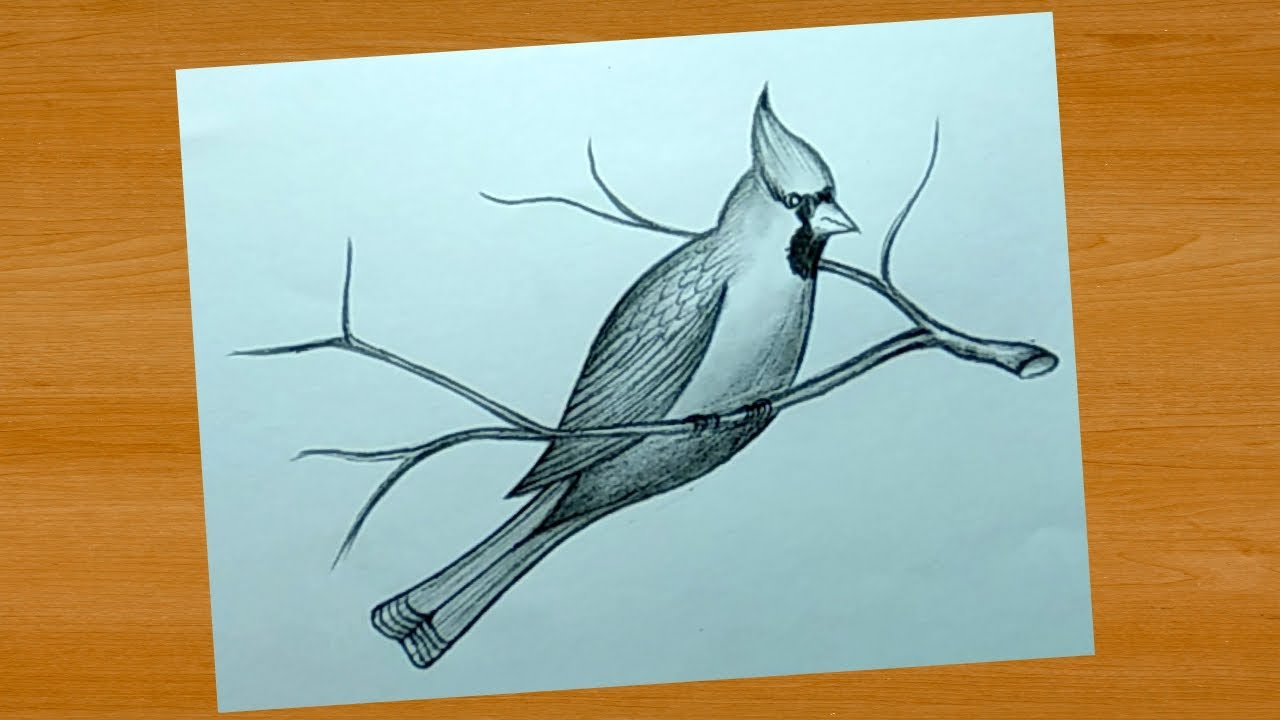 Featured image of post Pencil Shading Simple Pencil Drawing Ideas For Beginners / How to draw simple shapes.