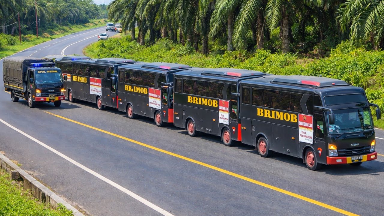Mobil Brimob Konvoy Melintas Di Tanjakan Bukit Kodok..!
