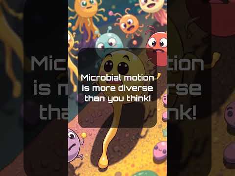 Microbial Motion: A