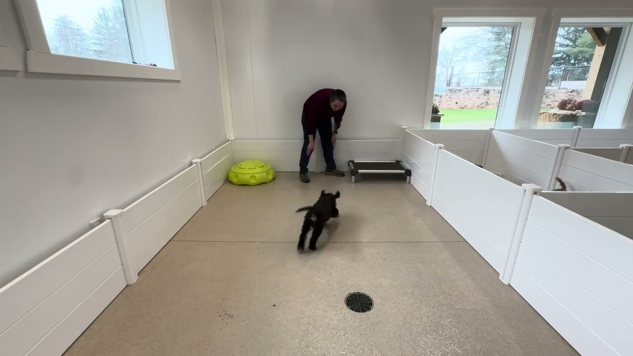 Pablo Play Session 03/05