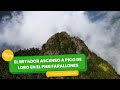 El retador ascenso a Pico de Loro en el PNN Farallones- TvAgro por Juan Gonzalo Angel Restrepo