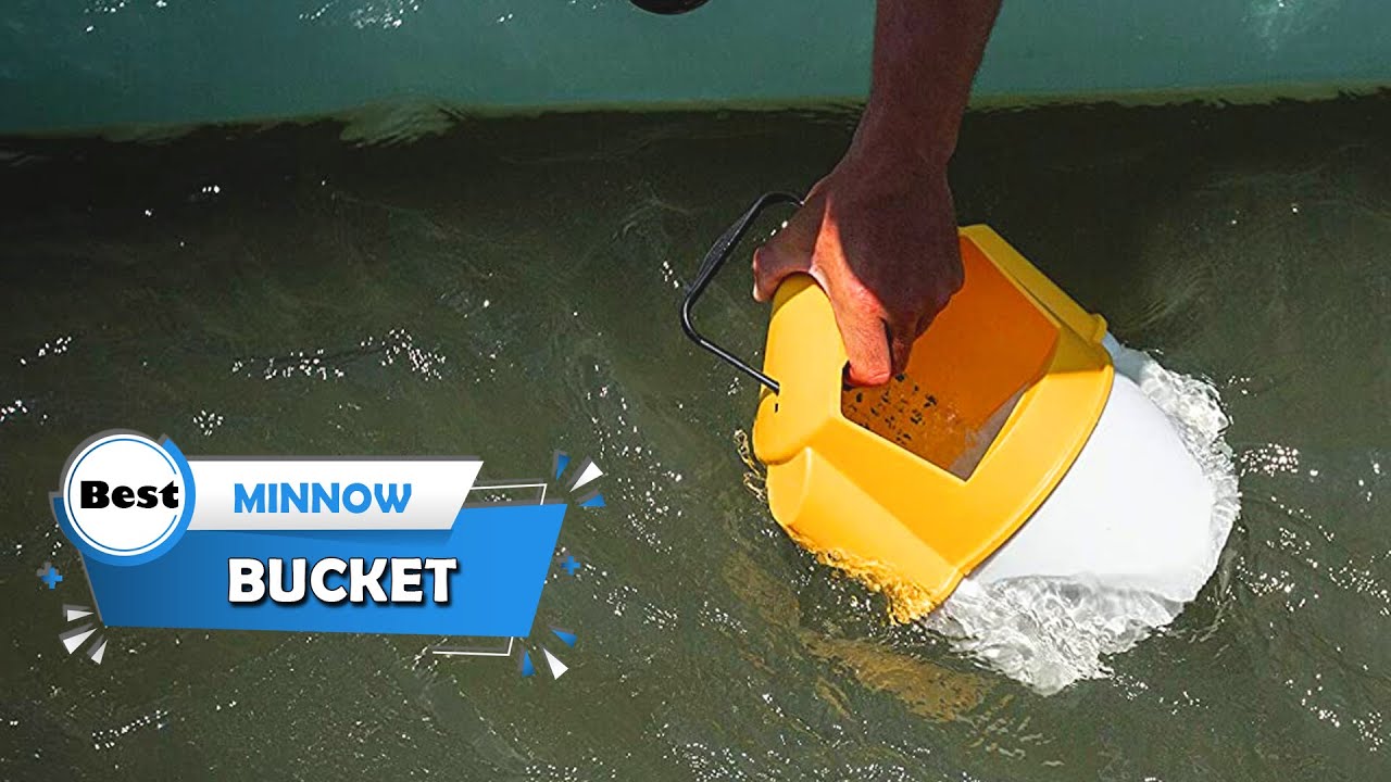 4 Best Minnow Buckets for Wade Fishing/Shad/Kayak/Pump & Ice Fishing