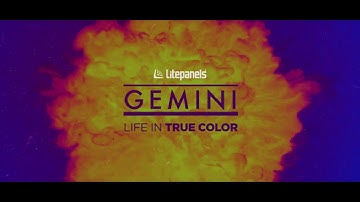 Litepanels Gemini 2x1 Soft - The industry’s most accurate and agile softlight