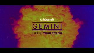 Litepanels Gemini 2x1 Soft - The industry’s most accurate and agile softlight screenshot 2