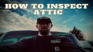 How to inspect your attic for rodents