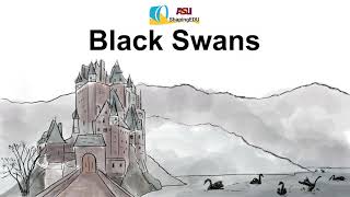 What are Black Swan events?