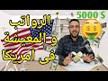 حقيقة الرواتب و المعيشة فى امريكا 