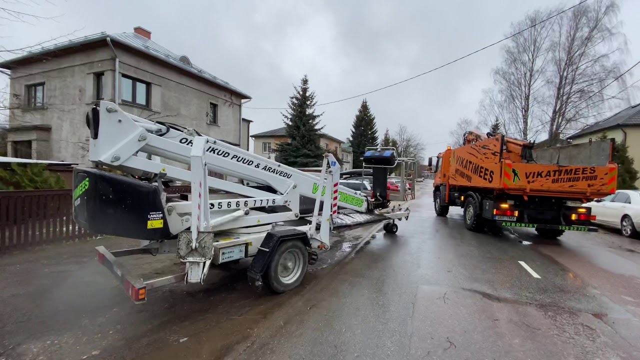 Ohtlike puude raie Tartus. Vikatimees kutsetunnistusega Arborist Tartus. TÖÖ KIIRE JA KORRALIK!