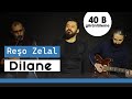 Reo zelal dilane official