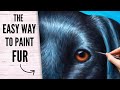 How to Paint Shiny Fur! Black Shiny Fur Acrylic Painting Tutorial