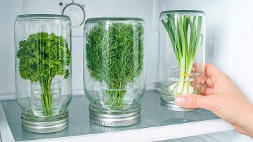 Stop met het invriezen van peterselie! Chef’s geheim voor verse kruiden maanden | Click DIY