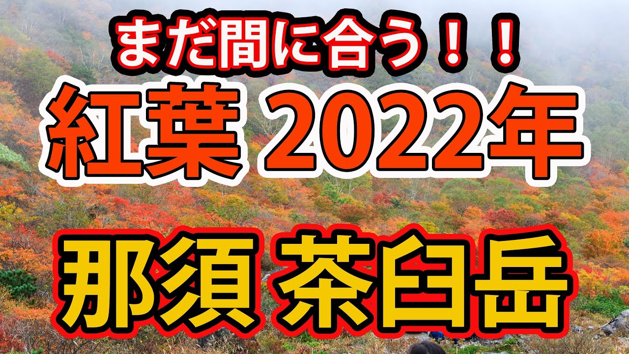 紅葉の茶臼岳 まだ間に合う紅葉の茶臼岳 ロープウェイで初心者ok 22年秋の紅葉 Youtube