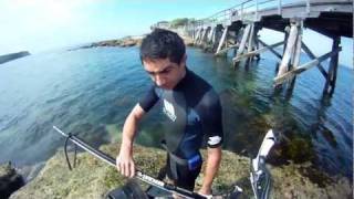 Spearfishing Bare Island