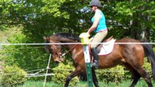 DSCF1537