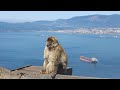 Gibraltar through my lens