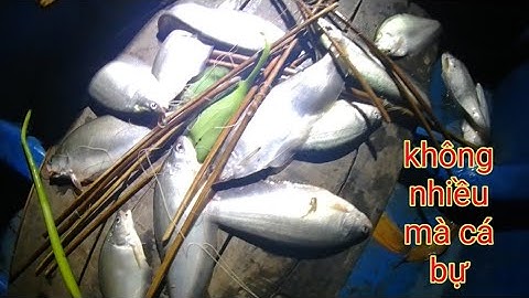 Thả Câu Thác Lác Gặp Anh Em Cùng Nghề Quá Vui/Định Nguyễn Hậu Giang