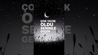 Zerrin Özer Olamazdım Senle Resimi