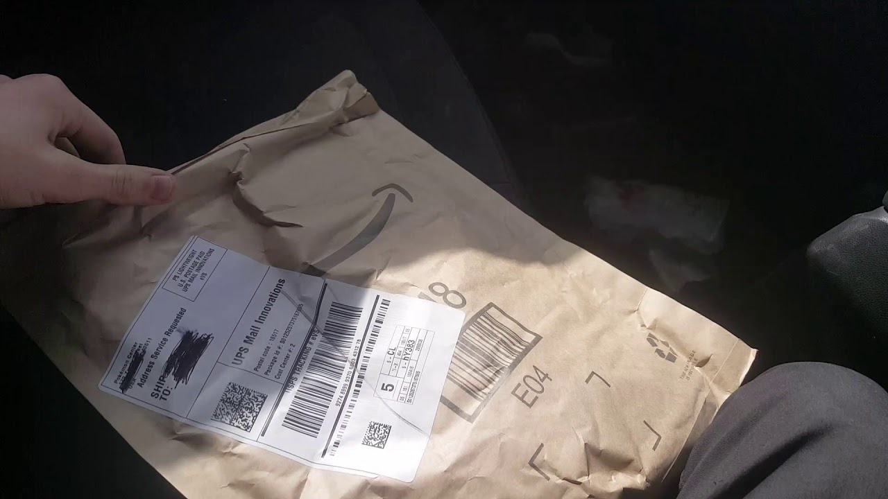 New Treecko Plush Unboxing