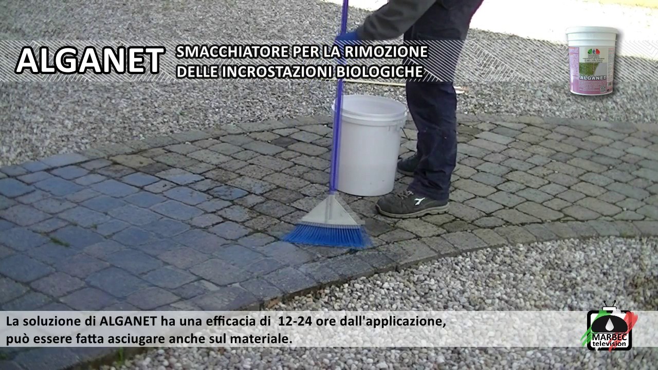 Come pulire i pavimenti e rivestimenti esterni da alghe, muffe ... Muffa come pulirla