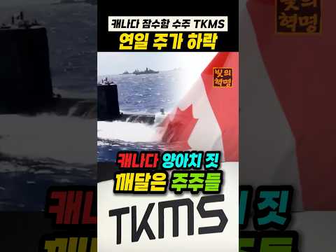 캐나다 잠수함 수주한 독일 TKMS 주가 연일 하락하는 이유. 캐나라 양아치짓 깨달은 투자자들 thumbnail